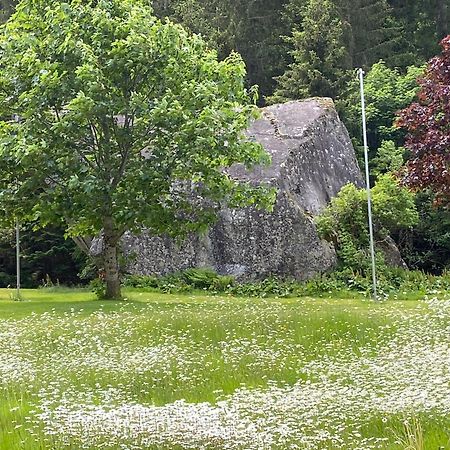 Bed and Breakfast Haus am Rain Partenen Exterior foto