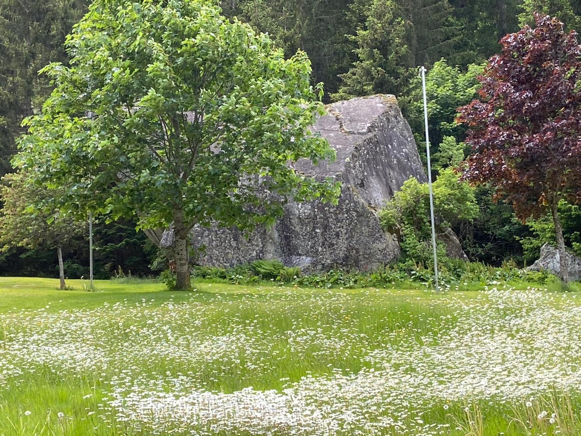 Bed and Breakfast Haus am Rain Partenen Exterior foto